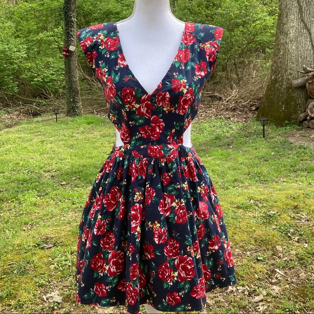 Sans Souci Floral Cutout Fit & Flare Skater Dress